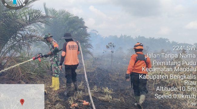 Pusdalop BPBD sedang melakukan pemadaman lahan di Kecamatan Pematang Pudu