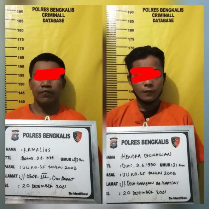 
 Tim Opsnal Sat Res Narkoba Polres Bengkalis Ringkus Kurir dan Bandar di Kec Mandau