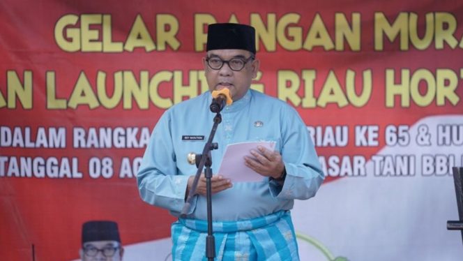 
 Teks foto : Wakil Gubernur Riau (Wagubri) Edy Natar Nasution.