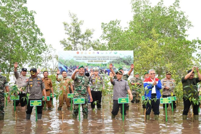 
 ? Penanaman mangrove di Desa Pangkalan Jambi, Kecamatan Bukit Batu, Senin (15/5/2023).