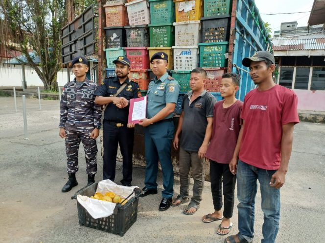 
 ? Ratusan kotak mangga impor ilegal dengan berat perkotak 20 kilogram diangkut menggunakan truck Colt Diesel plat BK 8694 CT. 