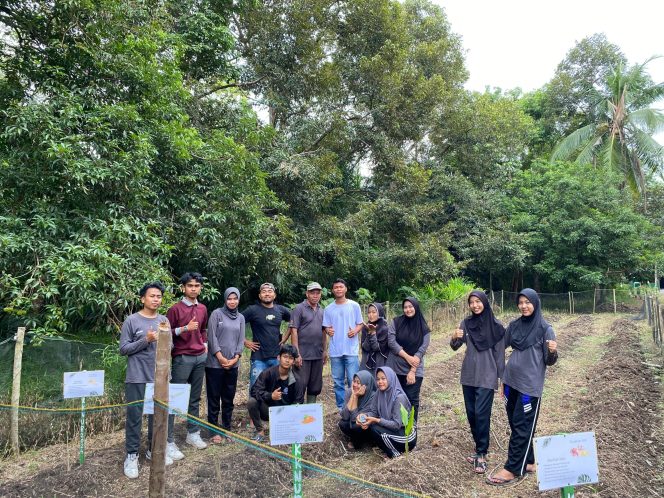 
 Mahasiswa KKN UNRI Bersama kelompok tani dan pemuda melakukan penanaman tanaman herbal di lahan kosong milik kelompok tani