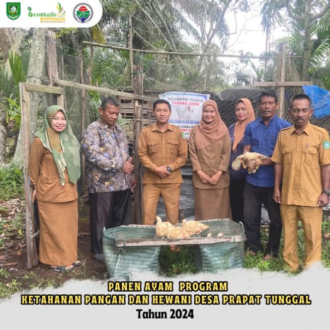 
 Sekdes Muhammad Fadillah bersama perangkat dan anggota kelompok ternak usai panen ternak