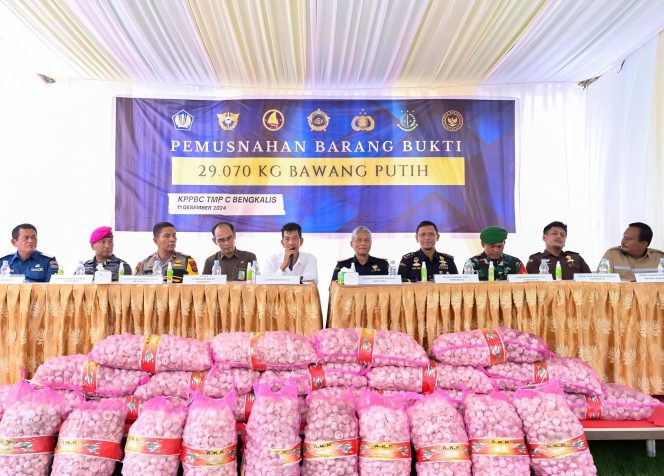 
 📸 Kantor Pengawasan dan Pelayanan Bea dan Cukai (KPPBC) Tipe Madya Pabean C Bengkalis memusnahkan 29.070 kg bawang putih hasil penyelundupan.