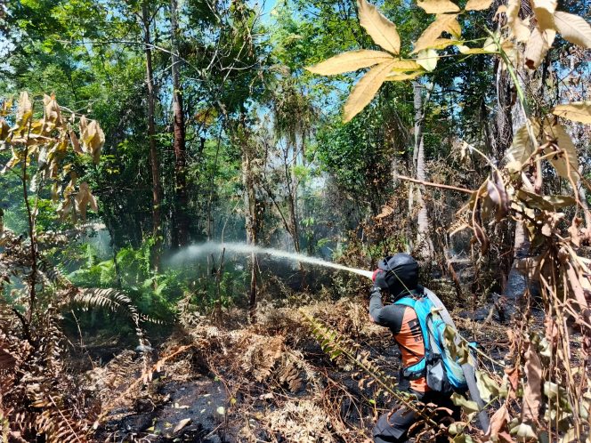 
 📸 Petugas sedang memadamkan kebakaran.