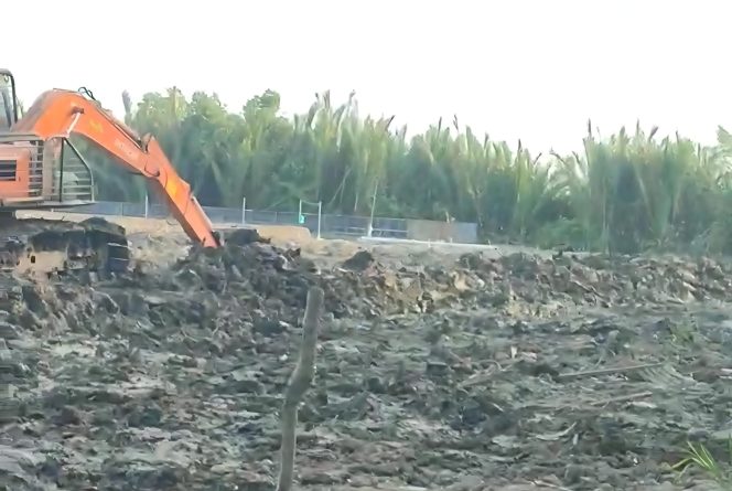 
 📸 Alat berat sedang menggarap lahan untuk tambak udang.(Ist)