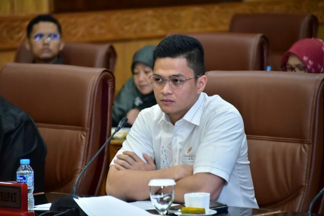 
 Wakil Ketua DPRD Hendrik Firnanda P