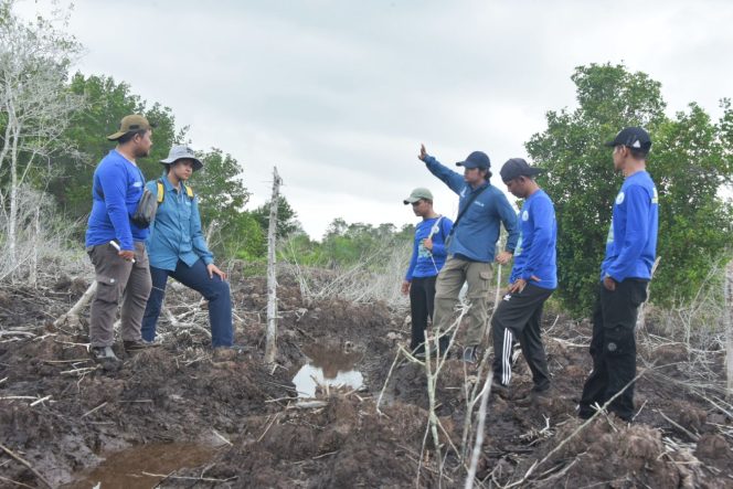 
 Tim penanaman mangrove saat melakukan peninjauan hutan mangrove