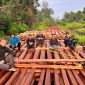 Tim Kemenhut dan Polri memeriksa kayu.