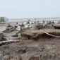 Abrasi di pesisir Bengkalis pada area yang direncanakan untuk pembangunan pengaman pantai.