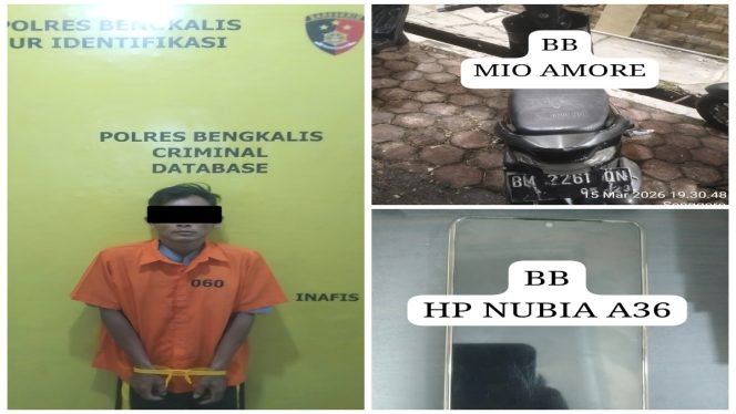 
 📸 Satreskrim Polres Bengkalis menangkap pelaku penjambretan ponsel milik seorang anak di Kecamatan Bengkalis.