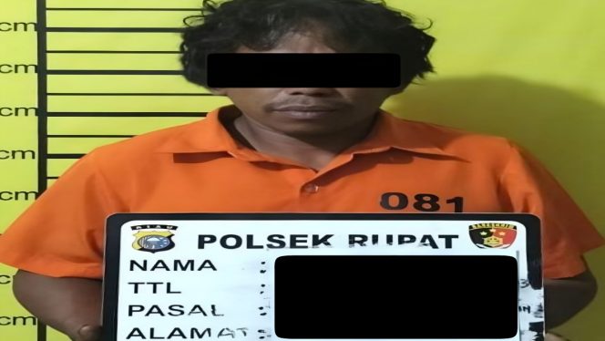 
 📸 S.R (36) Terduga pelaku pencurian kelapa sawit.di Rupat, Bengkalis.