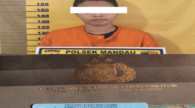 📸 Pelaku D.S dan barang bukti.