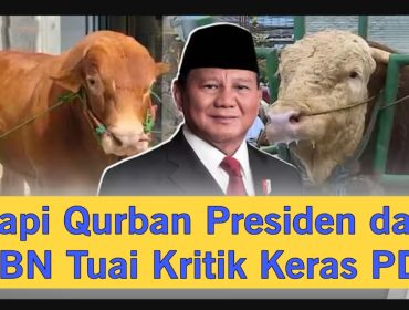 ๐ธ Kader PDIP Guntur Romli mengkritik penggunaan APBN untuk pembelian sapi kurban Presiden Prabowo Subianto.