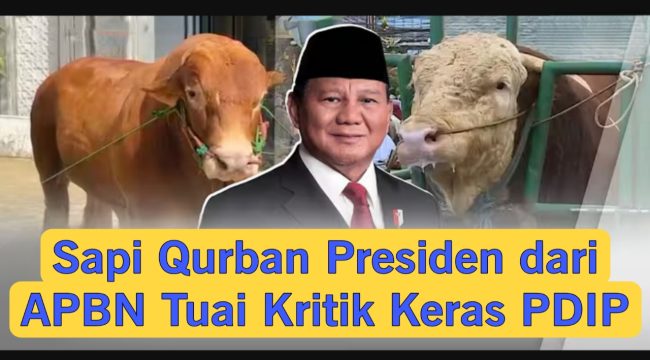 📸 Kader PDIP Guntur Romli mengkritik penggunaan APBN untuk pembelian sapi kurban Presiden Prabowo Subianto.