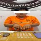 Polisi menunjukkan barang bukti sabu hasil penangkapan pengedar sabu di Bathin Solapan, Bengkalis.