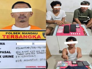 📸 Tim Opsnal Polsek Mandau mengamankan tersangka dan barang bukti dalam tiga penindakan dugaan kasus narkotika.