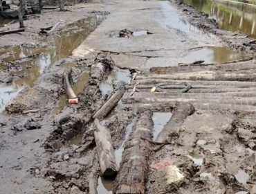 Kondisi jalan pelajar RT 02 dusun Sungai Dua desa Kelemantan, (27/10/2026) foto diambil dalam kondisi tidak dalam pasang naik